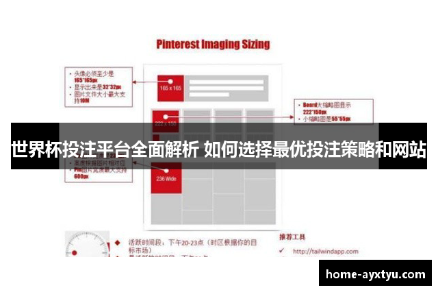 世界杯投注平台全面解析 如何选择最优投注策略和网站