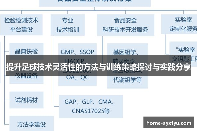 提升足球技术灵活性的方法与训练策略探讨与实践分享